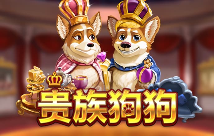 凯云体育app官网入口APP